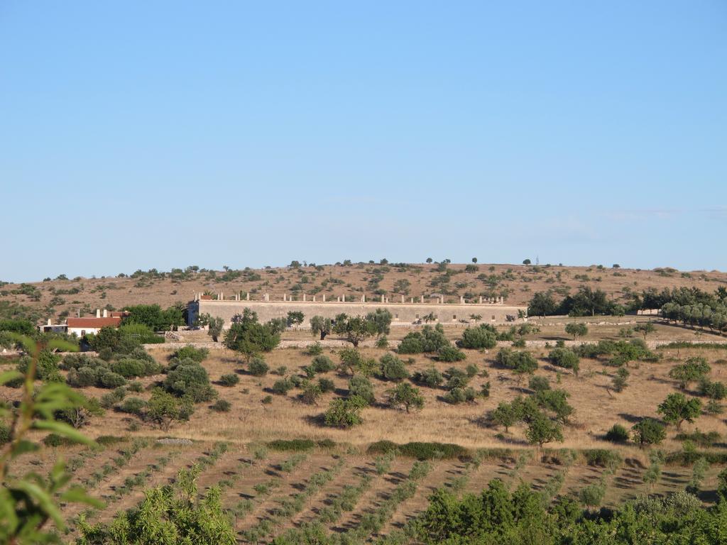 Lama Di Luna Biomasseria Montegrosso Exterior photo